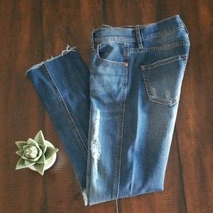 Buffalo David Bitton Jean